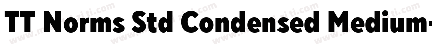 TT Norms Std Condensed Medium字体转换